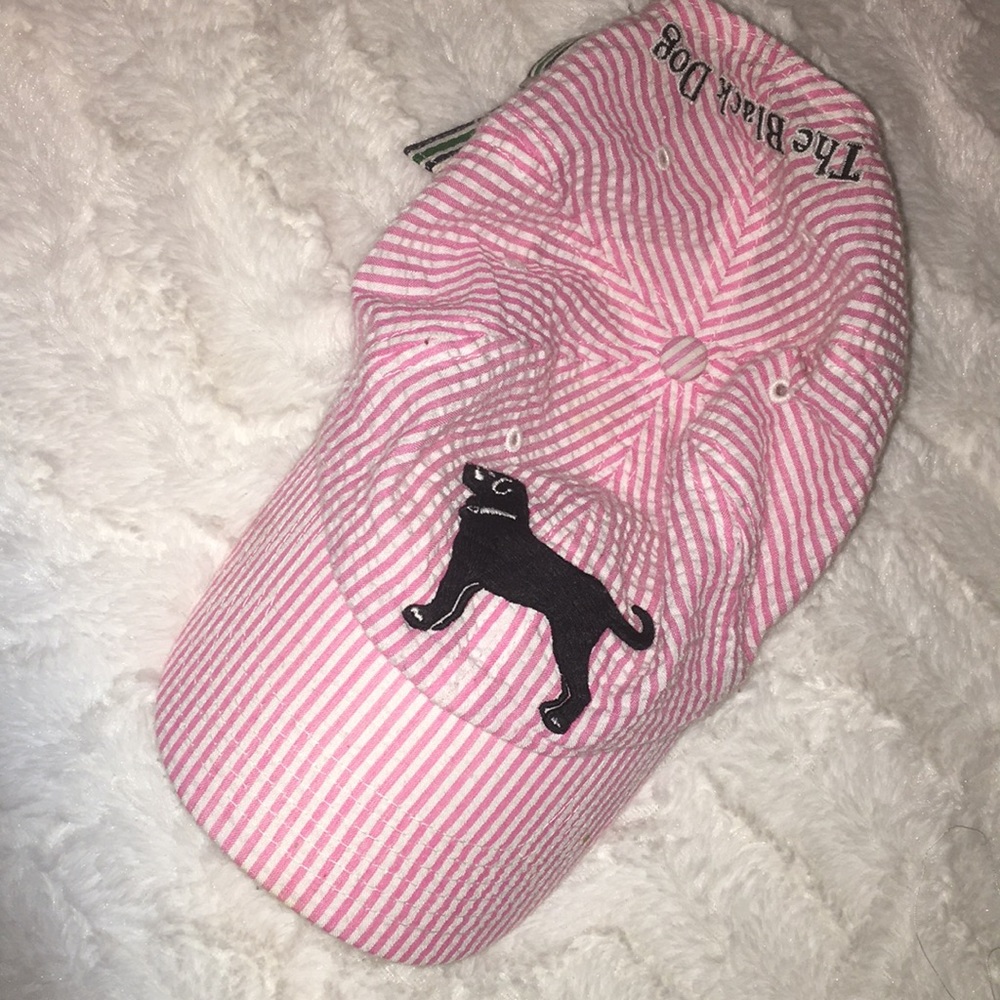Black Dog Stripe Hat Pink